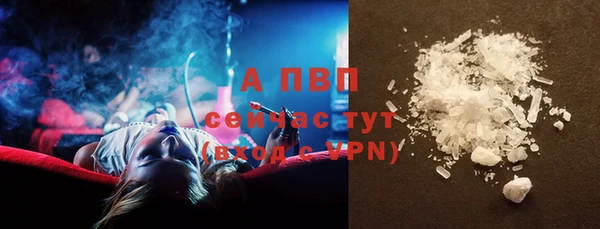 хмурый Абаза