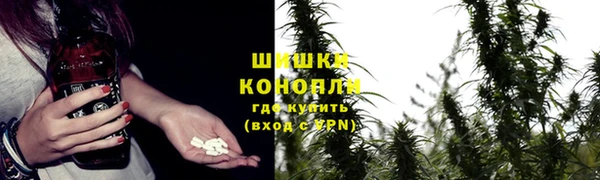 ГАЛЛЮЦИНОГЕННЫЕ ГРИБЫ Абинск